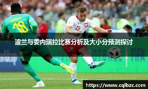 波兰与委内瑞拉比赛分析及大小分预测探讨